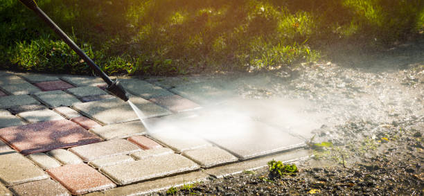 Best Animal Enclosure Cleaning  in Greentown, IN